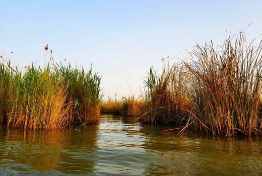 عدم تامین حق‌آبه و صید غیرمجاز عوامل تهدید کننده تالاب شادگان