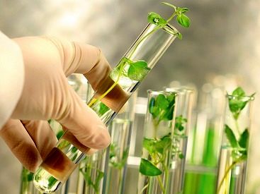 لزوم بهره گیری از ظرفیت پارک علم و فناوری در بخش کشاورزی