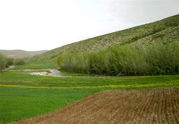 23 طرح کشاورزی در اراضی ملی سمنان اجرایی می‌شود