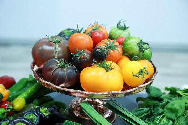 کندی روند واردات، روند تولید را مختل می‌کند