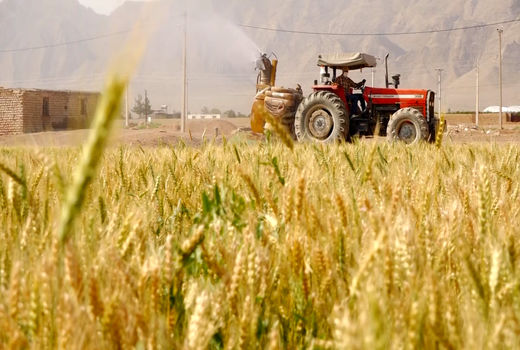 اجرای طرح «روستا بازار» با هدف کمک به اقتصاد روستایی در استان اصفهان
