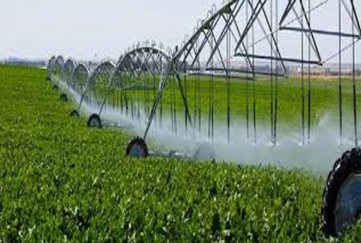 تجهیز بالغ بر ۱۲۰۰ هکتار از اراضی کشاورزی شمیرانات به سیستم‌های نوین آبیاری