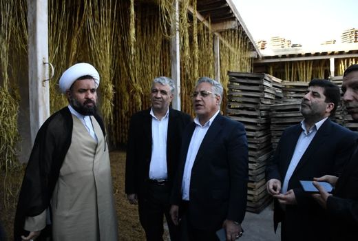 صادرات ۳ میلیون و ۵۱۰ هزار تن محصولات کشاورزی در ۶ ماهه اول سال در کشور