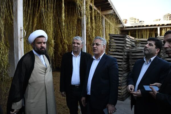 صادرات ۳ میلیون و ۵۱۰ هزار تن محصولات کشاورزی در ۶ ماهه اول سال در کشور