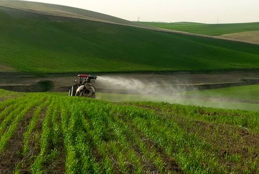 مبارزه با علف‌های هرز مزارع گندم در استان آذربایجان شرقی