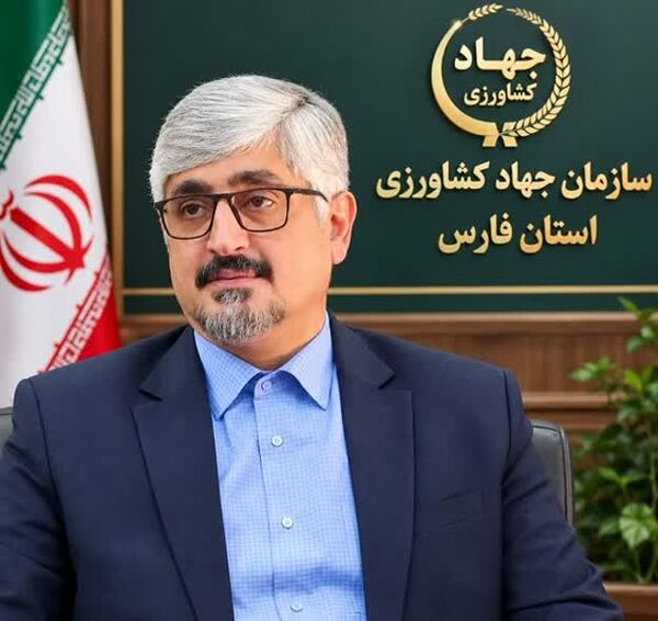 سرشماری سراسری کلنی‌ها کلید حمایت هدفمند و توسعه زنبورداری است