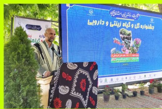 بیش از ۹۰۰ هکتار گل محمدی در لرستان کشت می شود