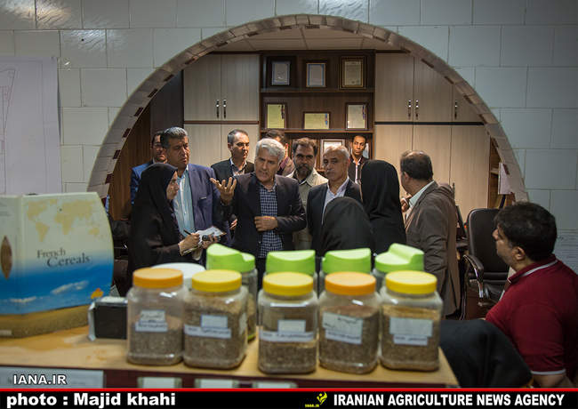 بازدید از کارخانه آرد