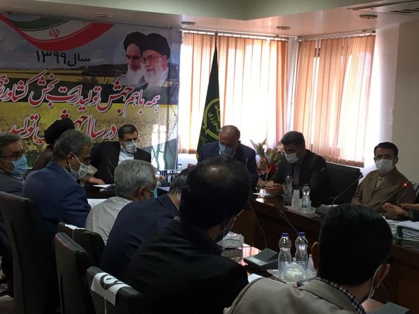 سرمایه‌گذاری دیمه رامهرمز در راستای تلاش برای جهش تولید