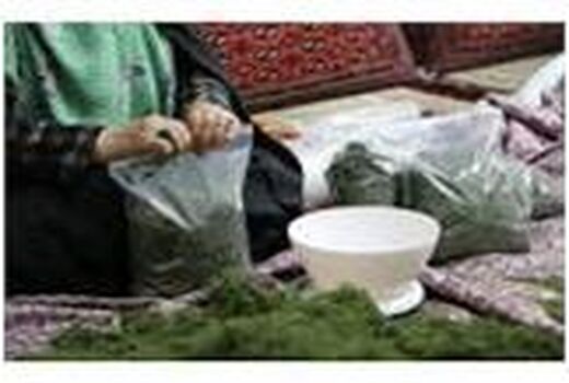7 میلیارد تسهیلات مشاغل خانگی در گلوگاه پرداخت شد