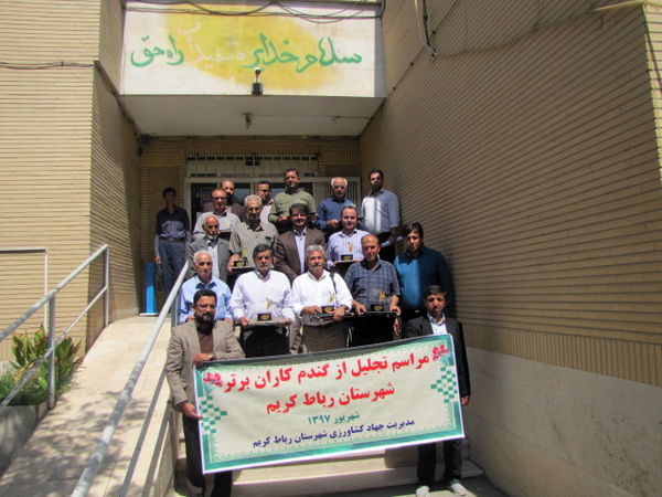 افزایش 15 درصدی تولید گندم نسبت به پارسال