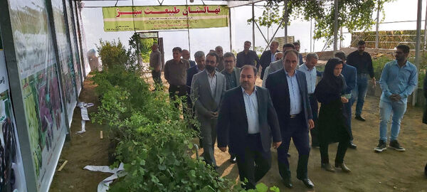 افتتاح گلخانه تولید نهال در روستای اوچ تپه کرد شهرستان میاندوآب به مناسبت هفته دولت 