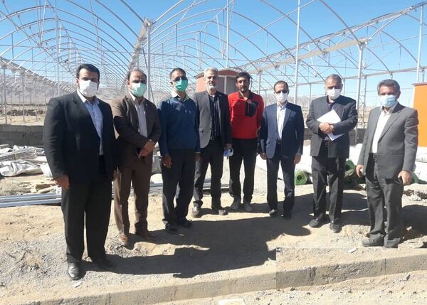 بازدید معاون اعتبارات بانک کشاورزی از مجتمع گلخانه ای درمیان