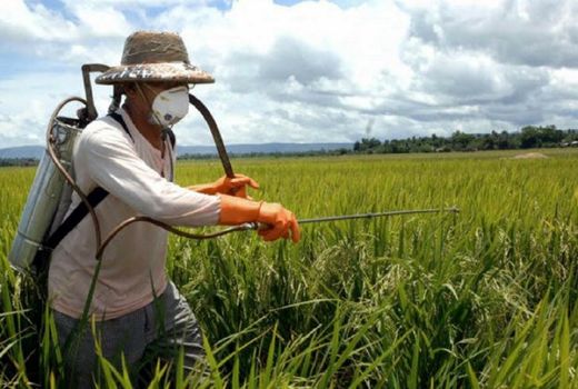 پیش‌آگاهی کلید کاهش خسارت و افزایش بهره‌وری در کشاورزی است