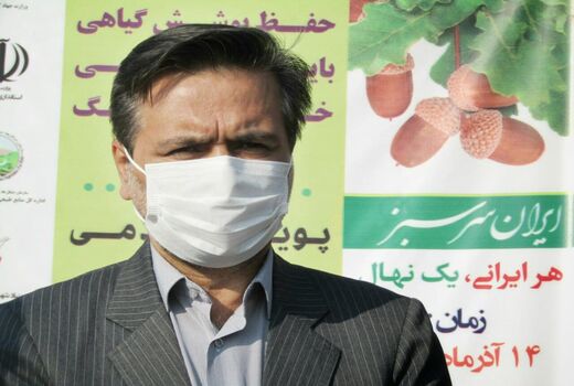 نهالکاری با هدف مقابله با فرسایش خاک
