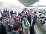فعالیت 142 واحد مرغداری گوشتی، 121 واحد پرواربندی گوسفند و 96 واحد پرورش گوساله در کهگیلویه و بویراحمد