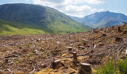 تغییرات اقلیمی و نابودی زیستگاه، تنوع‌زیستی را به مخاطره می‌اندازد