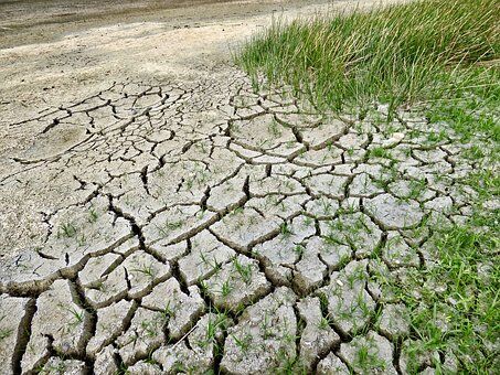 دوسوم زمین‌های کشاورزی ایتالیا تحت تأثیر خشکسالی طولانی‌مدت/ مجلس سنا صندوق همبستگی ملی را برای حمایت از کشاورزان فعال کرد/ ایتالیا از اتحادیه اروپا حمایت‌های مالی بیشتری را درخواست کرد