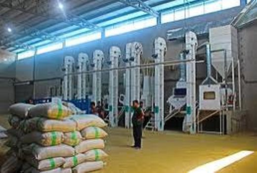 فعالیت 70 واحد شالیکوبی مدرن در آمل