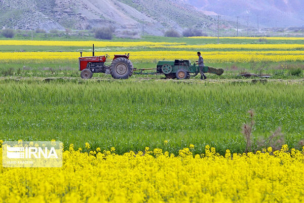 کاشت بذور سخت و برداشت توسعه