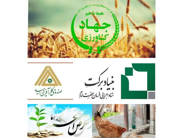 پرداخت 1300 میلیارد تسهیلات کشاورزی در بابل