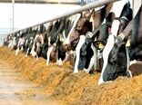 کاهش بیماری بروسلوز و تب مالت انسانی در استان بوشهر