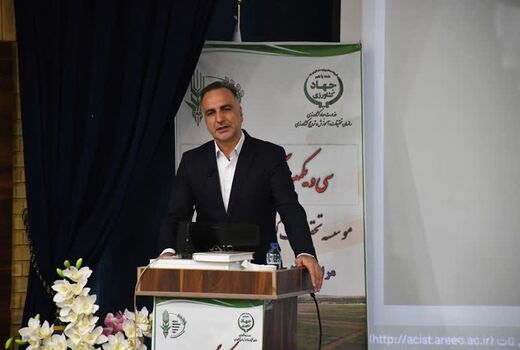 برداشت ۸ میلیون تن محصول از ۶ میلیون هکتار اراضی دیم کشور در سال گذشته