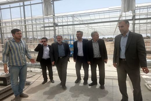 بازدید محمدحسین عطایی از روند احداث یک مجتمع صنایع غذایی و گلخانه در آبیک