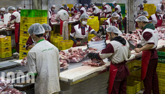 بسته‌بندی محصولات پروتئینی