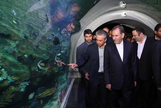 بزرگترین آکواریوم و باغ خزندگان ایران افتتاح شد