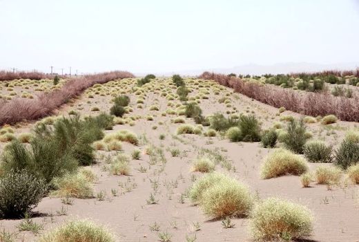 شناسایی بیش از ۱۴ میلیون هکتارکانون بحرانی بیابان درکشور