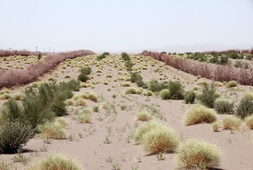شناسایی بیش از ۱۴ میلیون هکتارکانون بحرانی بیابان درکشور