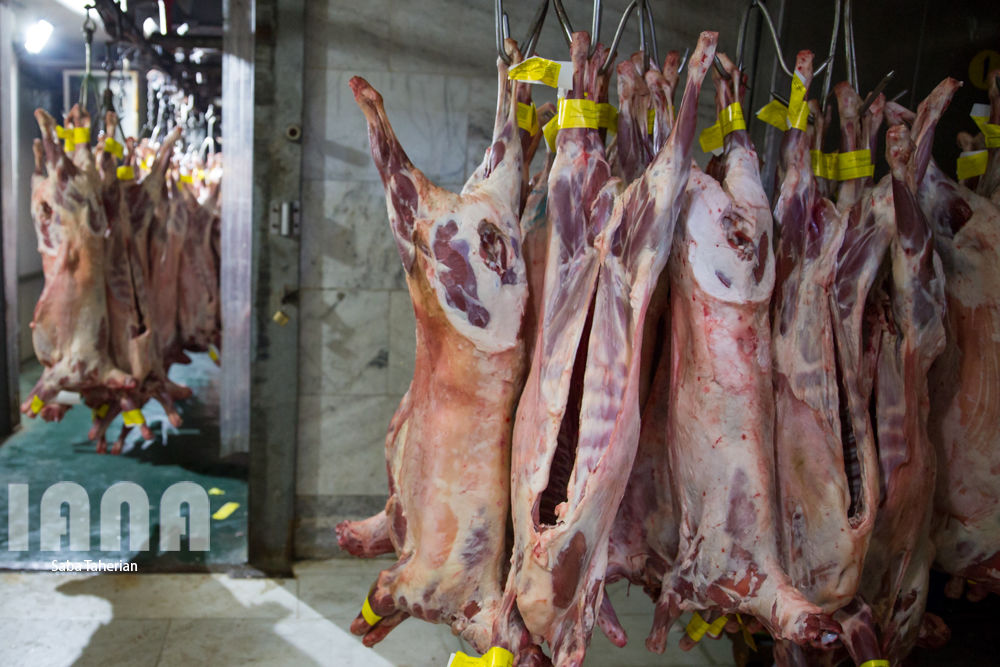 بسته‌بندی محصولات پروتئینی