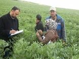 یکسان‌سازی فرایندهای برون‌سپاری خدمات کشاورزی در دستور کار وزارت جهاد کشاورزی