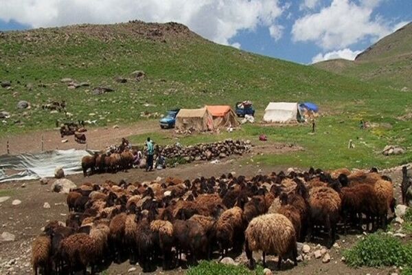 کاهش بارندگی‌ها هزینه تولید عشایر خراسان شمالی را افزایش داد