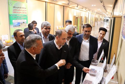 منطقه جنوب کرمان استعداد ویژه‌ای برای توسعه کشاورزی دارد 