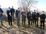 کست بیش از ٧ هزار هکتار گونه های بادام، انجیر، انگور، زرشک، گل محمدی و سنجد در اراضی شیبدار لرستان 