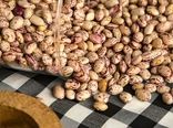 صادرات مستقیم لوبیای استان فارس به سه کشور