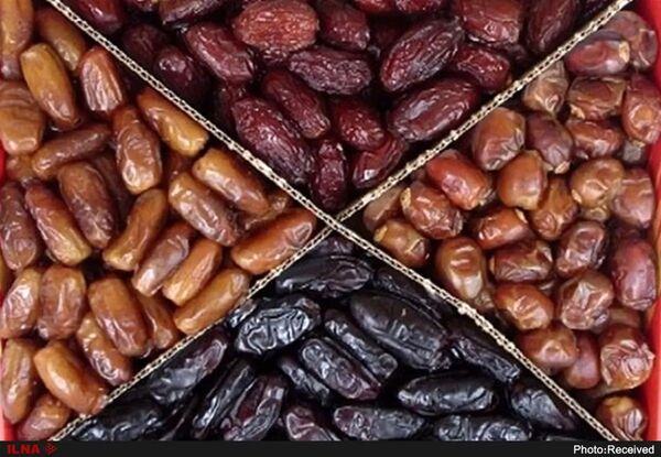 تنوع ژنتیکی خرمای ایران سرمایه صادراتی در بازارهای جهانی است / تولید ۴۰۰ تا ۶۰۰ رقم در کشور