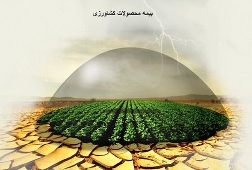 کاهش روند بیمه‌گری محصولات  کشاورزی در آذربایجان‌غربی