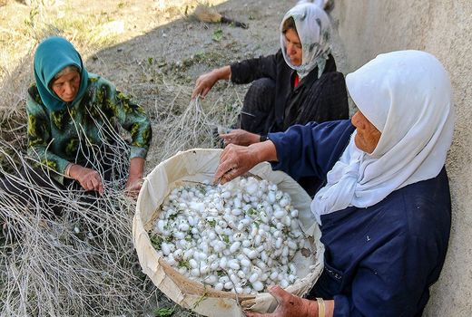 انعقاد تفاهم‌نامه همکاری برای توانمندسازی زنان روستایی در بخش نوغانداری