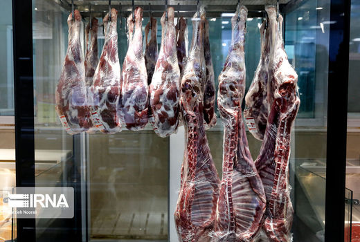 ۱۱.۵ درصد برنامه طرح پیشران افزایش تولید گوشت قرمز کردستان محقق شد