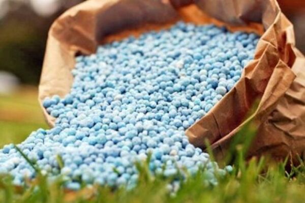 لزوم نظارت دقیق بر توزیع کود به منظور جلوگیری از تخلفات