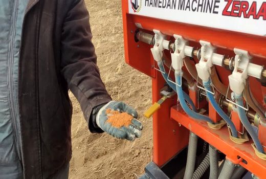 کشت گیاهان علوفه‌ای و دانه‌های روغنی در دیمزارهای شهرستان بستان آباد