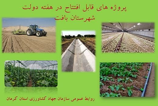 بهره برداری از 10 طرح کشاورزی و دامپروری شهرستان بافت در هفته دولت 