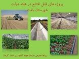 بهره برداری از 10 طرح کشاورزی و دامپروری شهرستان بافت در هفته دولت 