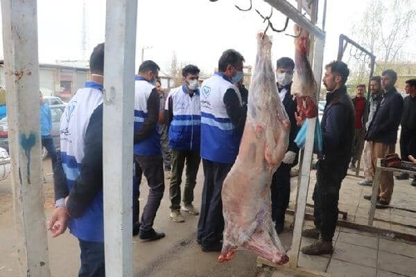 برخورد با عاملان کشتارهای غیرمجاز و کنار جاده‌ای توسط اکیپ‌های بازرسی بهداشتی دامپزشکی در آذربایجان غربی 