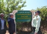 افتتاح آموزشگاه رانندگی ماشین‌های کشاورزی و راهسازی در مرکز آموزش عالی امام خمینی(ره)
