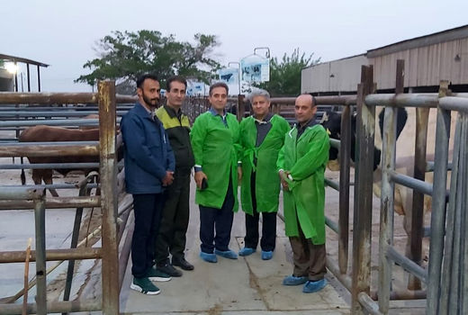 بازدید رییس مرکز اصلاح نژاد دام کشور از ایستگاه اصلاح نژاد شمالغرب و غرب کشور