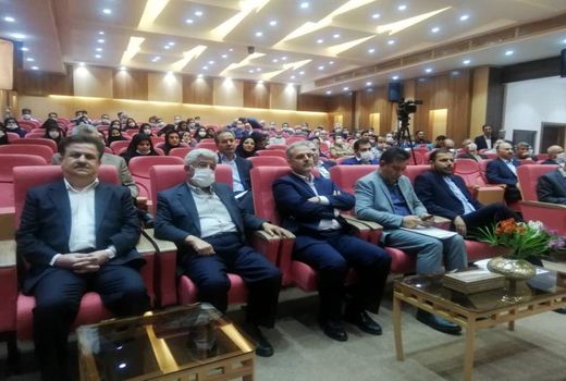 مدیر توانمند دیار نخل و کارون راهی وزارت شد